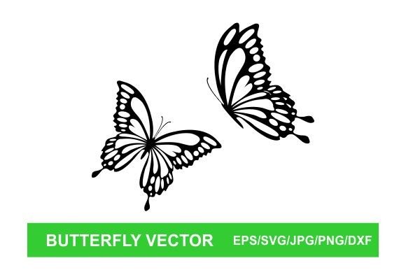 Download Butterfly Vector - Vector Collection
