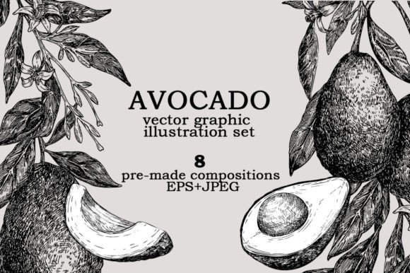 Download Avocado Vector Graphic Illustration Set - Vector Collection