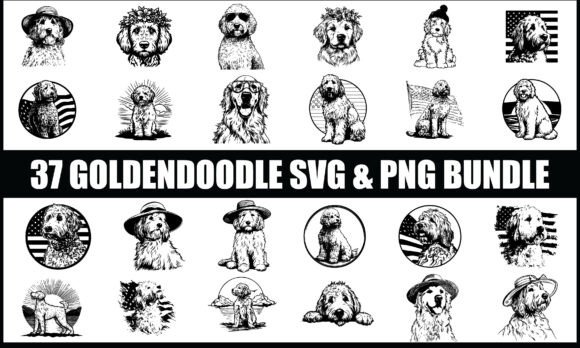 Download Goldendoodle SVG PNG Bundle, Dog Vector - Vector Collection