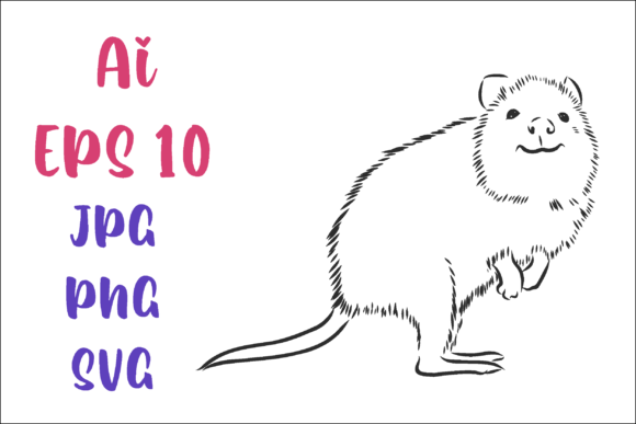 Download Kwoka Kangaroo Vector Sketch - Vector Collection