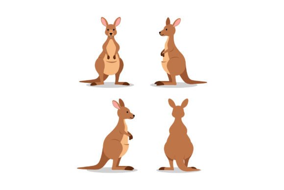 Download Kangaroo Vector Illustration in Four Dif - Vector Collection