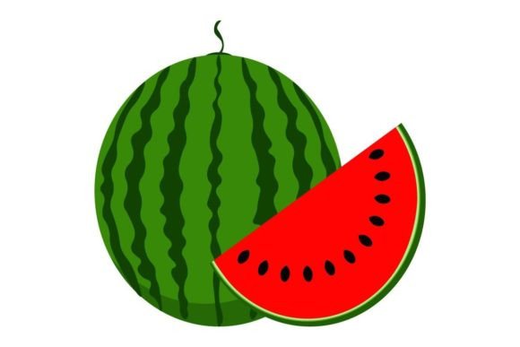 Download Watermelon Vector Illustration - Vector Collection