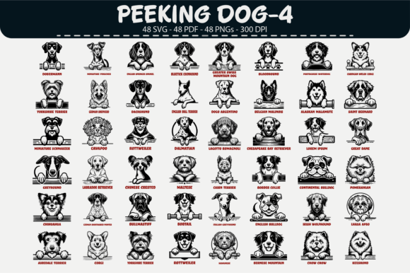 Download Peeking Dog Vector Clipart – 48 Designs - Vector Collection