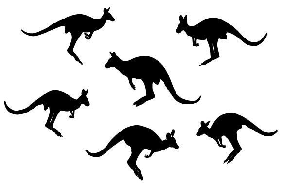Download Kangaroo Vector Design - Vector Collection