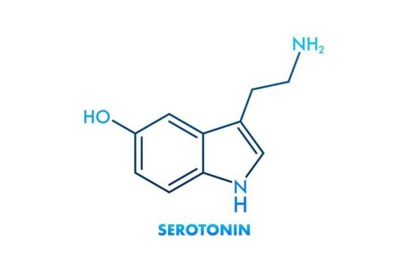 Download Vector Graphic. Serotonin Editable Strok - Vector Collection