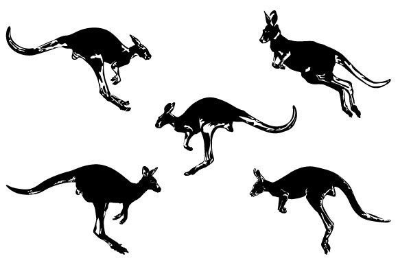 Download Kangaroo Vector Graphic Design - Vector Collection