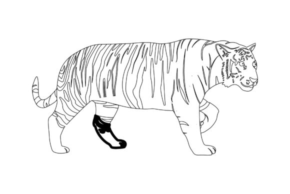 Download Tiger Vector Design Outline - Vector Collection