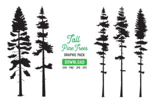 Download Tall Pine Tree Vector Graphic Bundle - Vector Collection